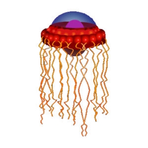 Red Atolla Jellyfish